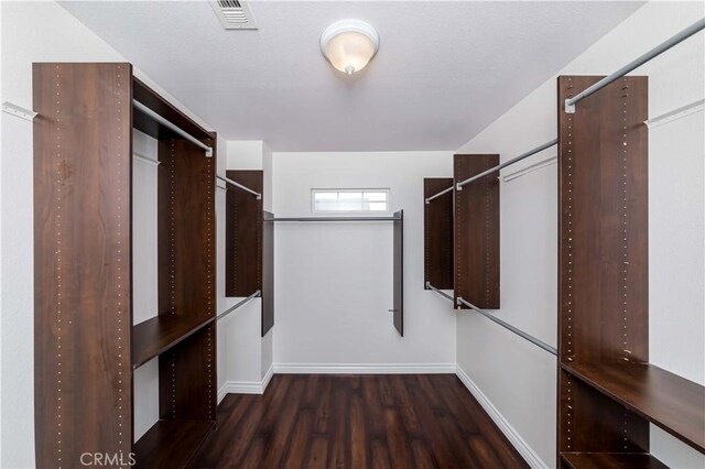 spacious closet with dark hardwood / wood-style flooring