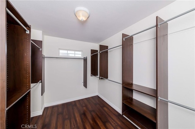 spacious closet featuring dark wood-type flooring