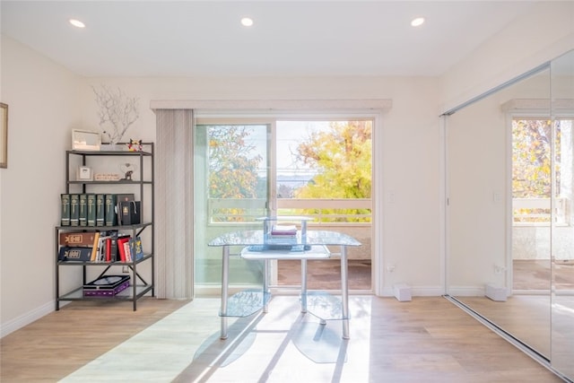 dining room featuring plenty of natural light and hardwood / wood-style floors