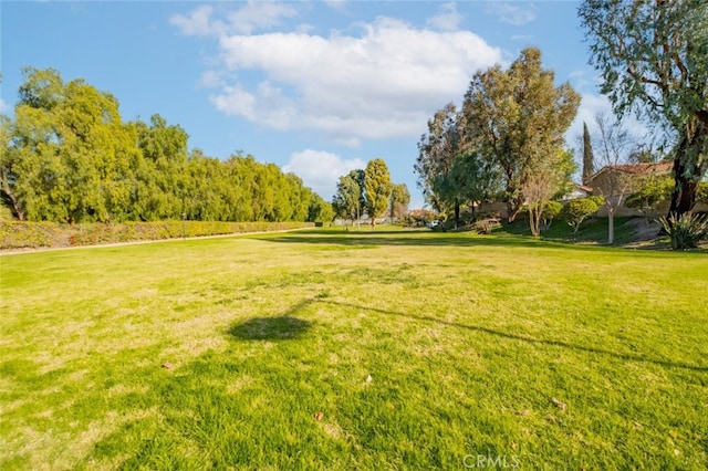 exterior space featuring a yard