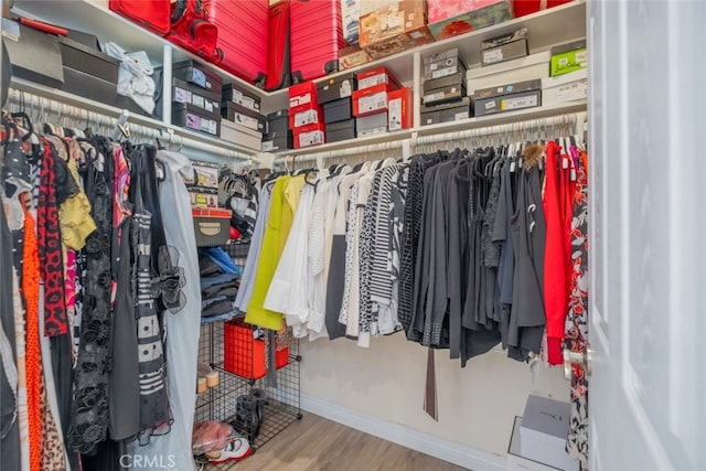 spacious closet with wood-type flooring