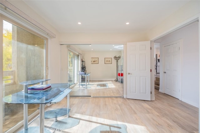 interior space featuring light hardwood / wood-style floors