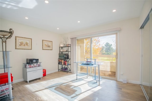 home office featuring light hardwood / wood-style flooring