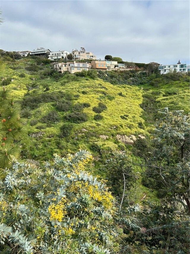 2335 Hillview Dr, Laguna Beach, CA 92651 - view of yard