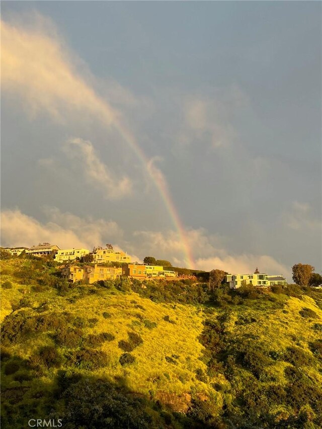 2335 Hillview Dr, Laguna Beach, CA 92651 - view of nature