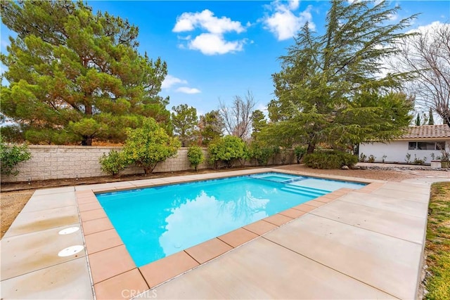 view of swimming pool with a patio area