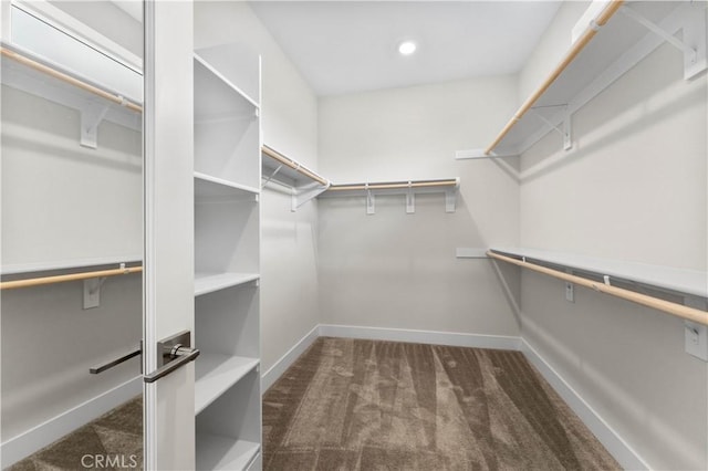 spacious closet with dark carpet