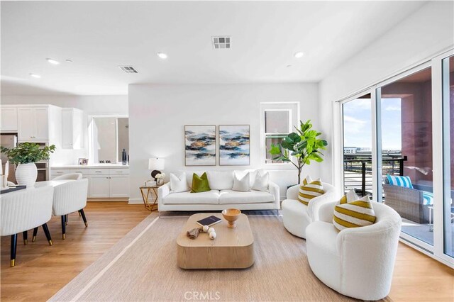 living room featuring light hardwood / wood-style flooring