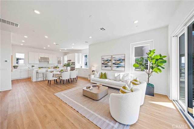 living room with light wood-type flooring