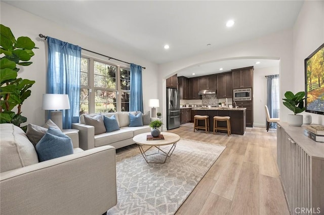 living room featuring light hardwood / wood-style floors