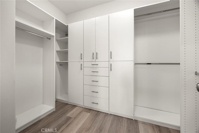 spacious closet with light hardwood / wood-style floors