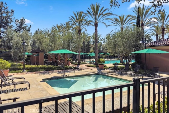 view of swimming pool featuring a patio