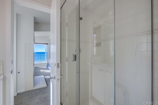 bathroom featuring a shower with shower door