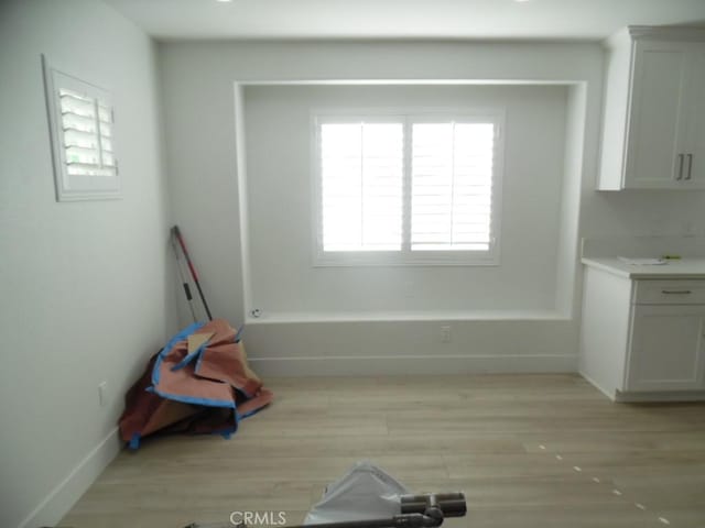 interior space with light hardwood / wood-style flooring