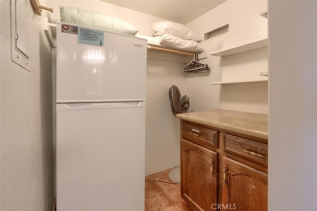 spacious closet featuring light colored carpet