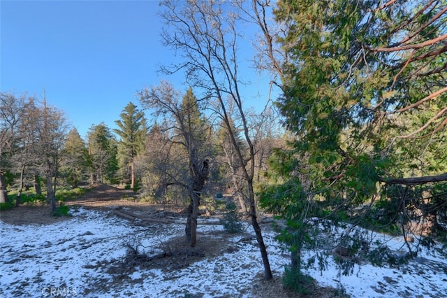 view of snowy yard