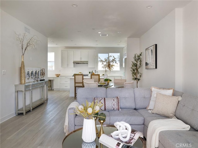 living room featuring light hardwood / wood-style floors