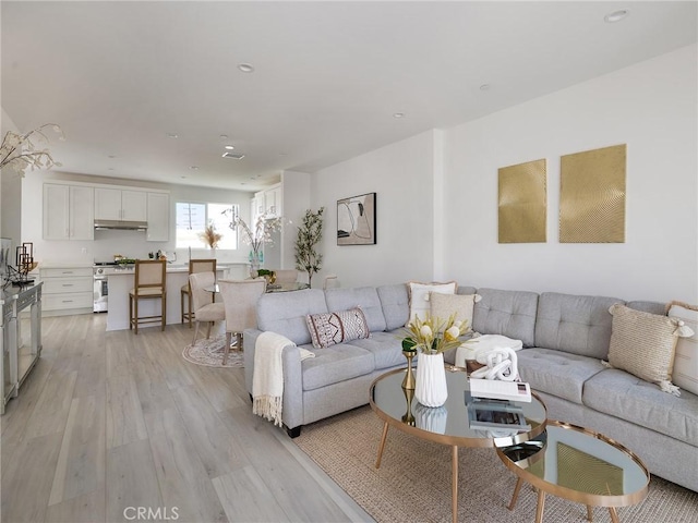 living room featuring light wood-type flooring