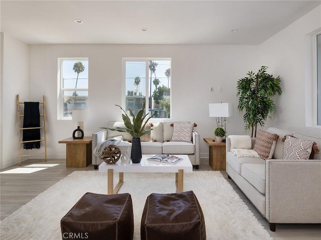 living room with light hardwood / wood-style flooring