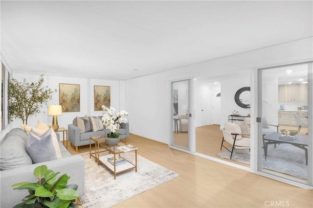 living room with hardwood / wood-style flooring