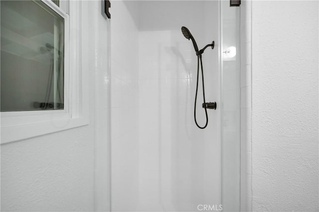 interior details with walk in shower