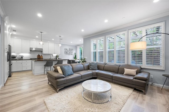 living room featuring crown molding, sink, and light hardwood / wood-style floors