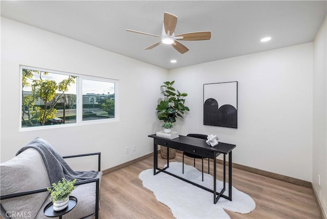 office space featuring ceiling fan and light hardwood / wood-style flooring