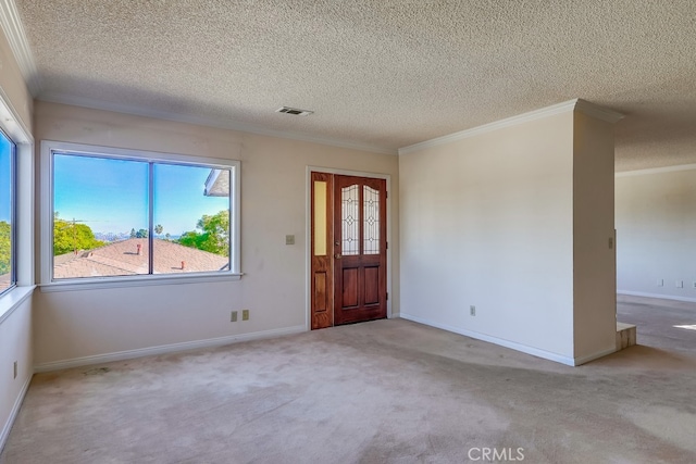 carpeted foyer with ornamental molding and a textured ceiling