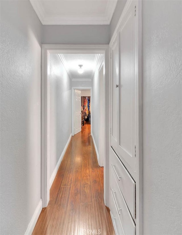 corridor featuring hardwood / wood-style flooring and crown molding