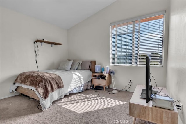 carpeted bedroom with multiple windows