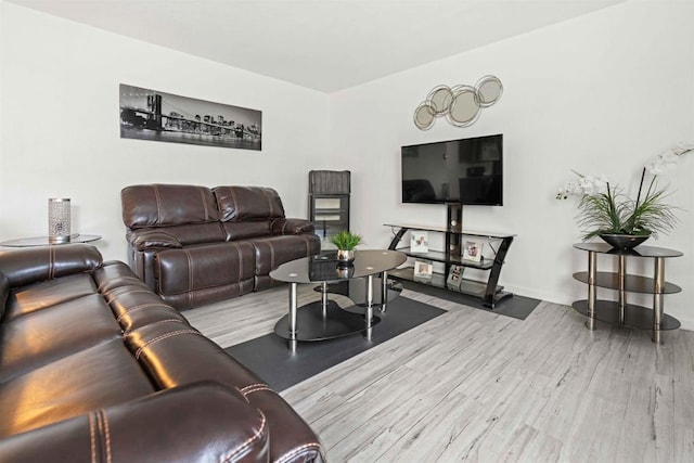 living room with light hardwood / wood-style flooring