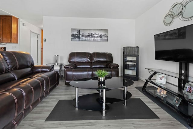 living room with light wood-type flooring