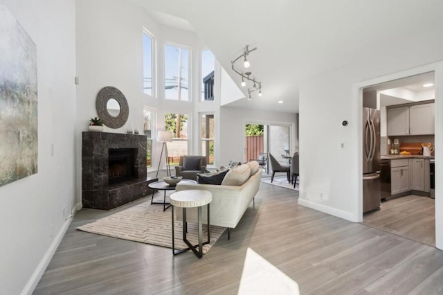 living room with a high ceiling, a fireplace, and light hardwood / wood-style flooring