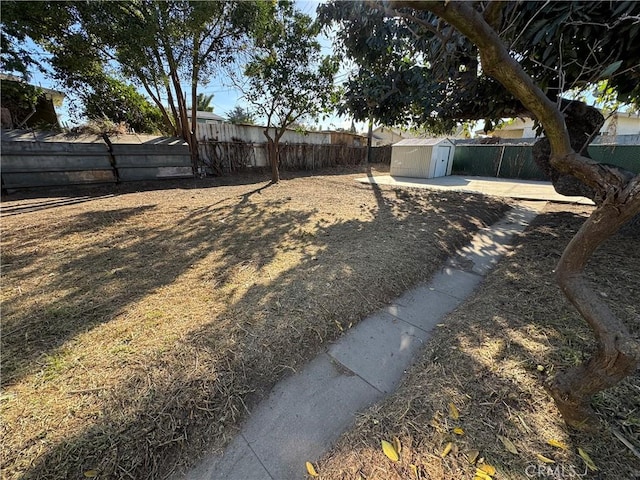 view of yard with a patio area and a shed