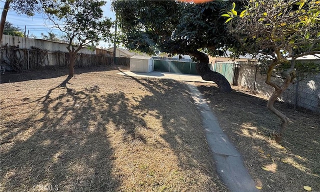 view of yard featuring a storage shed