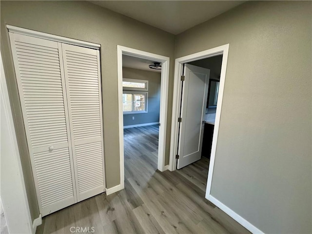 hall featuring light wood-type flooring