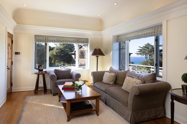 living room featuring light hardwood / wood-style floors and a water view