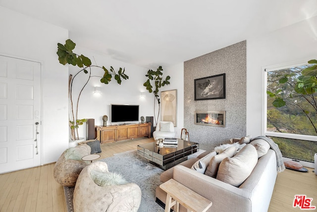 living room featuring a fireplace and light hardwood / wood-style flooring