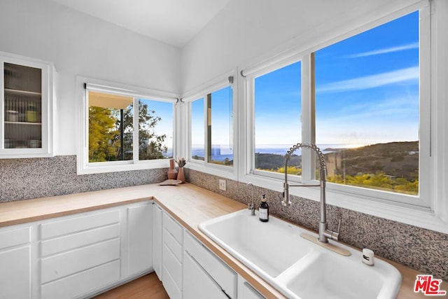 kitchen featuring white cabinetry, sink, and a wealth of natural light