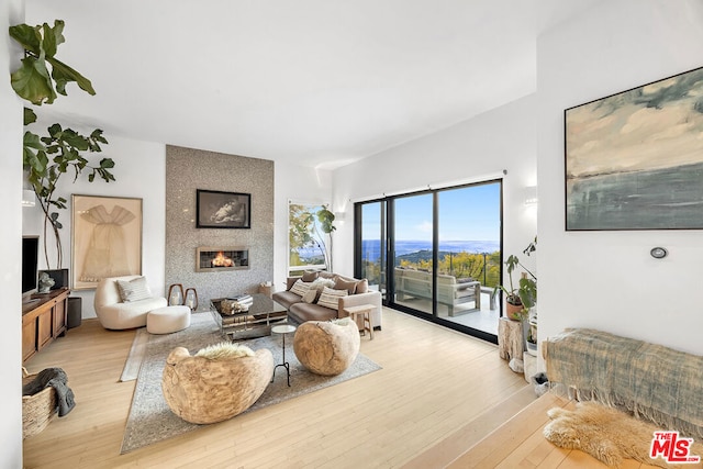 living room featuring a mountain view, light hardwood / wood-style flooring, and a large fireplace