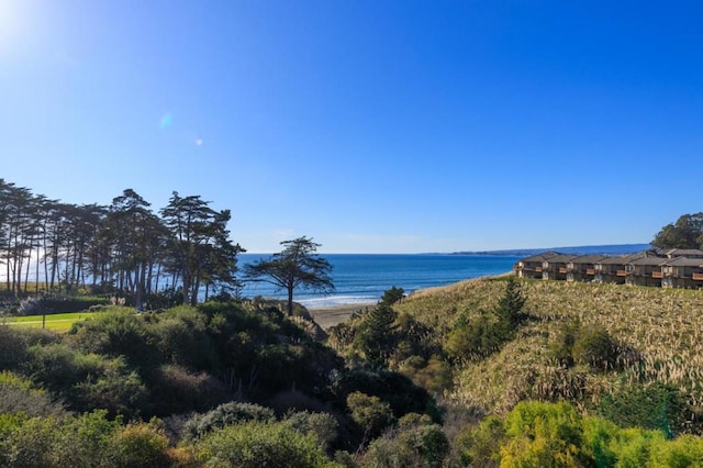 view of water feature with a beach view