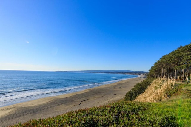 water view featuring a beach view