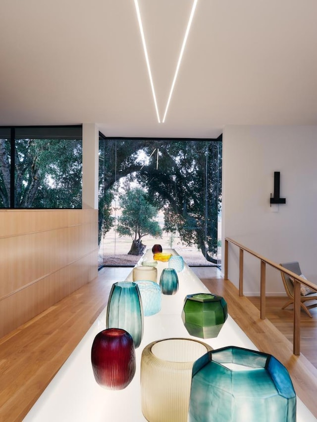 dining area with hardwood / wood-style flooring and a wall of windows