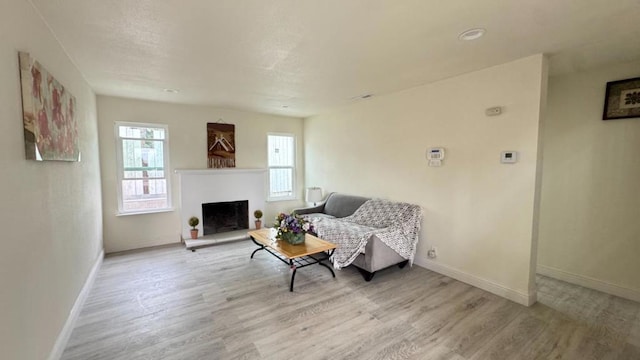 living room with light hardwood / wood-style flooring