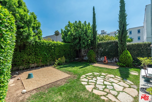 view of yard featuring a patio