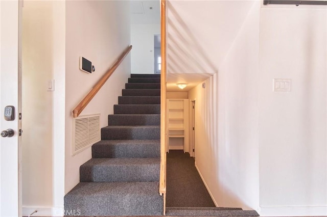 staircase featuring carpet flooring