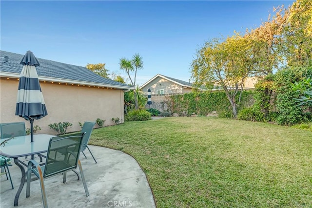 view of yard featuring a patio