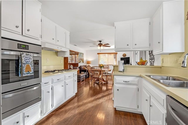 kitchen featuring sink, white cabinetry, dark hardwood / wood-style floors, ceiling fan, and stainless steel appliances