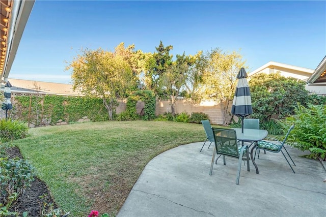 view of yard featuring a patio area