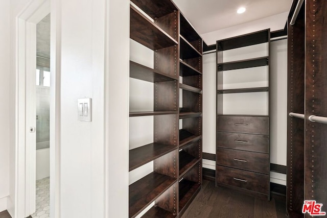 walk in closet featuring hardwood / wood-style flooring